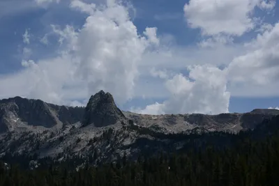 DSC_3220 (Large).JPG